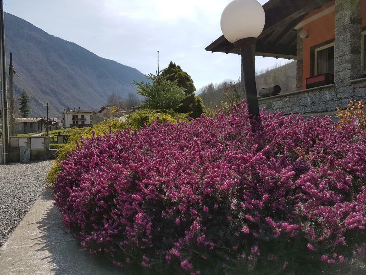 Hotel Ristorante Sasso Remenno Val Masino Экстерьер фото